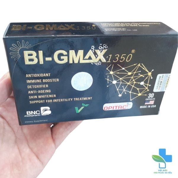 bi-gmax-1350-gia-bao-nhieu